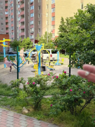 ��������� �������� ����� ���������� �����., 12, ��� ���� 17