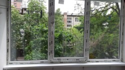 ��������� �������� ���� ������� �����., 4, ���, �������������, ��������� ���������, �. ������������ �������� ���� 11