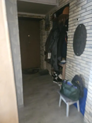 ��������� �������� �������� ��������� ��������� ���. (������ ������������), 1, ���, �����'�������, �����'����, �. ��������� ���� 11