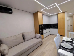 ��������� �������� ������������� ����� �����. (������), 45�, ���, ����������, ����������, �. ����� ���� 5