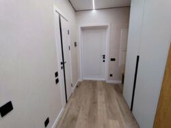 ��������� �������� ������������� ����� �����. (������), 45�, ���, ����������, ����������, �. ����� ���� 1