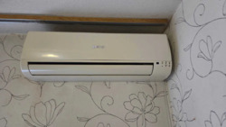 ��������� �������� ���, �����'�������, ��������, �������� �������� ���. (�������� �����������), 12/25, �. ��������� ���� 14