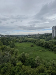 ��������� �������� ������������� ����., 11, ���, �����������, �. ��쳿����� ���� 15