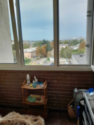 ��������� �������� ������������� �����. (��������), 96, ���, �������������, ���������, �. �������� ���� 12