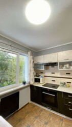 ��������� �������� ������������� ����� �����. (������), 31, ���, ����������, ����������, �. ̳����� ���� 2