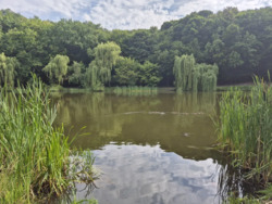 Продається квартира Голосіївський просп. (проспект 40-річчя Жовтня), 108/3, Київ, Голосіївський, м. Васильківська фото 14 Продається квартира Голосіївський просп. (проспект 40-річчя Жовтня), 108/3, Київ, Голосіївський, м. Васильківська фото 14