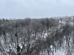 ��������� �������� ������� ���., 55, ���, ���������� ���� 15