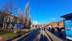 ��������� �������� �� ���. (�������� �������), 17�, ���, �������������, ����� ���� 23