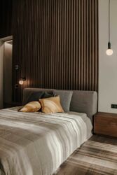 ��������� �������� �������, �������������, ��������, ���������, 2 ���� 12