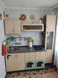 ��������� �������� ����������� ���� ���. (���������������), 46, ���, �����������, �. ��쳿����� ���� 3