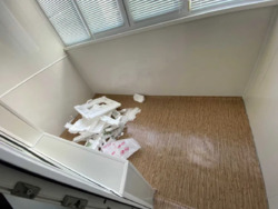 ��������� �������� ���, ����������, ����������� ���., 1� ���� 14