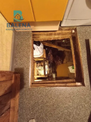 ��������� �������� ���, �����������, ����� �����., 74, �. ��쳿����� ���� 14