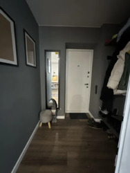 ��������� �������� ��� ������ ���. (����������), 89, ���, �������������, �. ���������� ���� 11