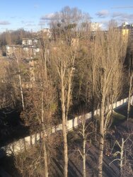 Продається квартира Академіка Щусєва вул., 42А, Київ, Шевченківський, Сирець, м. Сирець фото 17 Продається квартира Академіка Щусєва вул., 42А, Київ, Шевченківський, Сирець, м. Сирець фото 17