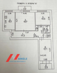 ��������� �������� ���������� ������� �����. (����� ����������), 11, ���, �����������, �������, �. ������� ���� 19