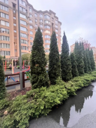 Продається квартира Київська, Києво-Святошинський, Софіївська Борщагівка, Стуса, 19 фото 14 Продається квартира Київська, Києво-Святошинський, Софіївська Борщагівка, Стуса, 19 фото 14