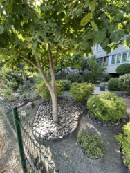 ��������� �������� ���, ����������, ����������� ����������� ���., 34�, �. ������� ���� 17