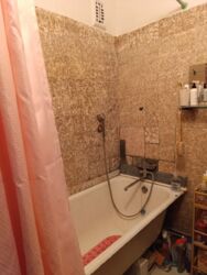 ��������� �������� ���������� ��������� ���. (���� �����), 10�, ���, �����������, �������, �. ������� ���� 18