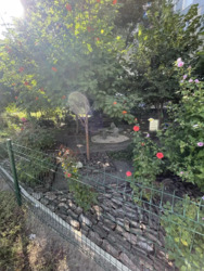 ��������� �������� ���, ����������, ����������� ����������� ���., 34�, �. ������� ���� 18