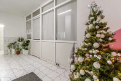 ��������� �������� ����� �����., 80�/73, ���, �����������, �. ��쳿����� ���� 18