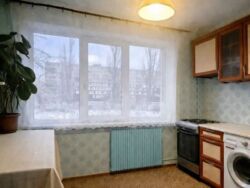 ��������� �������� ����� ����� ����� ���. (������� �������������), 28�, ���, �����������, �������, �. ������� ���� 2