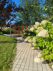 ��������� �������� ³�������� ���., 8, ���, ����������, ����������� ���� 18