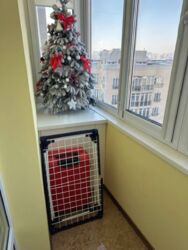 ������ 2-������� �������� ��� ���������� ��� 99 ��.�. ���� 12