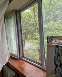 ��������� �������� ���, �����'�������, ³�������, 36 ���� 3