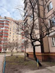 ������ / 3-������� �������� ������� / ��-� ������� ������, 63� / ����������� �-� ���� 14