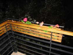 ��������� �������� ������ ������������ ���. (���������������), 136, ���, ����������, �. �������� ���� 8