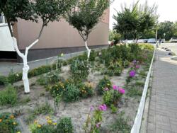 Продається квартира Білицька вул., 18, Київ, Подільський фото 14 Продається квартира Білицька вул., 18, Київ, Подільський фото 14