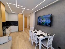 ��������� �������� ������������� ����� �����. (������), 45�, ���, ����������, ����������, �. ����� ���� 3