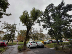 Продається квартира Київ, Оболонський, Йорданська вул. (Лайоша Гавро), 11а фото 16 Продається квартира Київ, Оболонський, Йорданська вул. (Лайоша Гавро), 11а фото 16