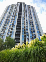 ��������� �������� ³�������� ���., 8, ���, ����������, ����������� ���� 16