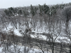 ��������� �������� ������� ���., 55, ���, ���������� ���� 14