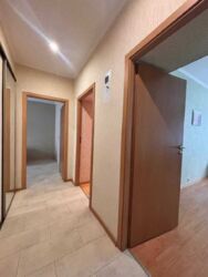 ��������� �������� ���, �������������, ��������� ������-������������ ���. (������������), 33, �. ���'�������� ���� 8