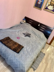 ��������� �������� ������������� ���., 24/26, ���, �������������, �������������, �. ������������� ���� 31