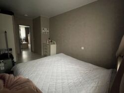 ��������� �������� �������� ���� �����., 29�, ���, ������������, �������, �. ����������� ���� 6