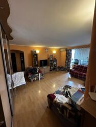 ��������� �������� �������������� ���., 31, ���, �����������, �. ��쳿����� ���� 1