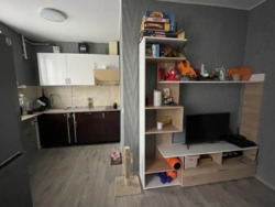 ��������� �������� �������� ���� �����., 29�, ���, ������������, �������, �. ����������� ���� 3