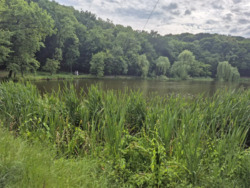 Продається квартира Голосіївський просп. (проспект 40-річчя Жовтня), 108/3, Київ, Голосіївський, м. Васильківська фото 15 Продається квартира Голосіївський просп. (проспект 40-річчя Жовтня), 108/3, Київ, Голосіївський, м. Васильківська фото 15