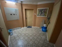 ��������� �������� ���, ����������, ����������� ���., 1� ���� 20