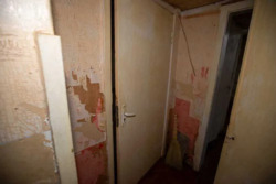 ��������� �������� ���������� ���., 3, ���, �����������, �. ����������� ���� 15