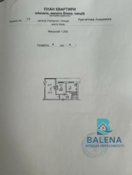 ��������� �������� ������ ���������� ���. (�������� ���������), 13, ���, ����������� ���� 12