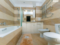 Продається квартира Микільсько-Ботанічна вул., 14/7, Київ, Голосіївський, м. Площа Українських Героїв фото 3 Продається квартира Микільсько-Ботанічна вул., 14/7, Київ, Голосіївський, м. Площа Українських Героїв фото 3