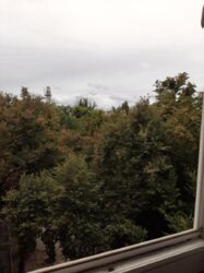 Продається квартира Київ, Святошинський, Ґалаґани, Рене Декарта вул. (Кулібіна), 4/2, м. Нивки фото 13 Продається квартира Київ, Святошинський, Ґалаґани, Рене Декарта вул. (Кулібіна), 4/2, м. Нивки фото 13