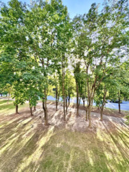 Продається квартира Київ, Святошинський, Біличі, Генерала Наумова вул., 37, м. Академмістечко фото 17 Продається квартира Київ, Святошинський, Біличі, Генерала Наумова вул., 37, м. Академмістечко фото 17