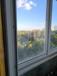 ��������� �������� ������ ��������� ���. (�������������), 5, ���, �����'�������, �����'����, �. ��������� ���� 6