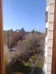 ��������� �������� ������� ������������ ���., 13, ���, �������������, ���������, �. �������� ���� 19