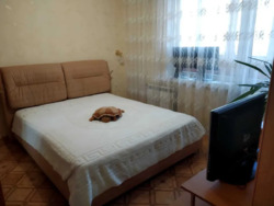 ��������� �������� ����� ������ ���. (���������� ��������), 9/61, ���, ����������� ���� 8